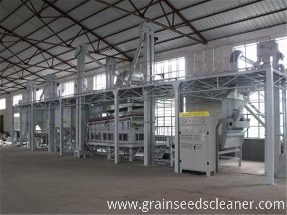 Grain Processing Plant